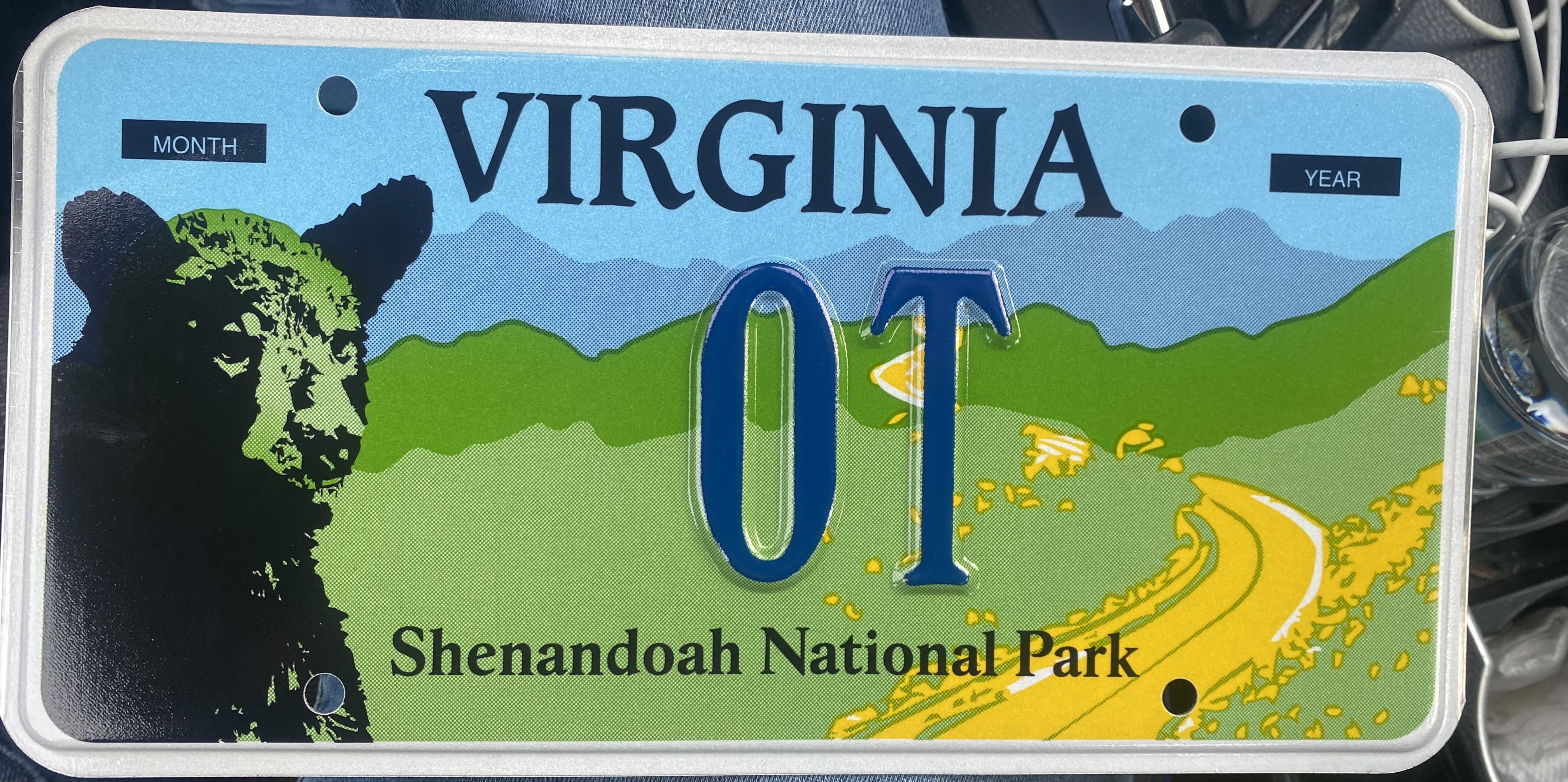 OT Virginia License Plate